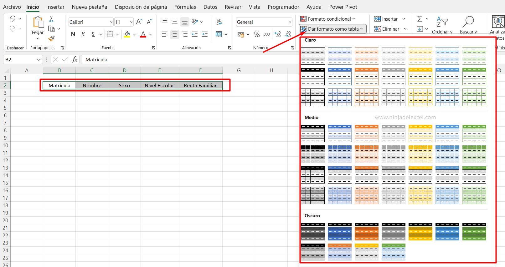 Generar Matrícula Automático en Excel