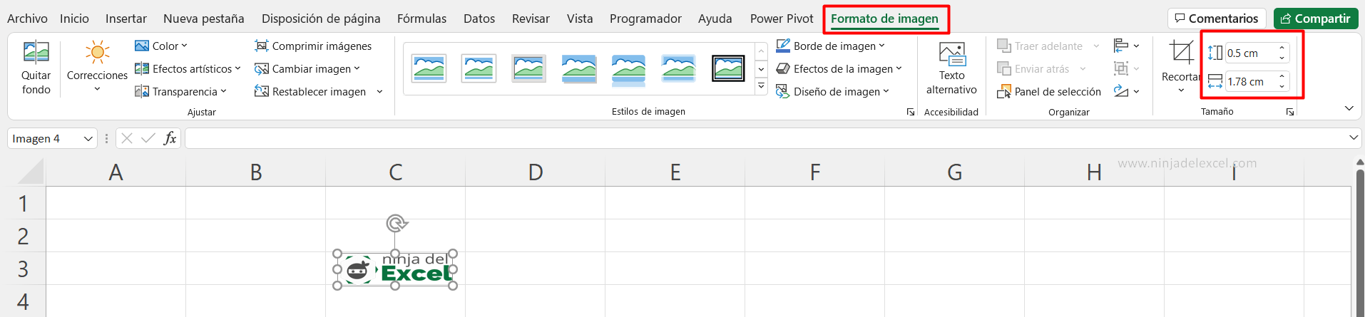 Insertar una Imagen en una Celda en Excel en la practica