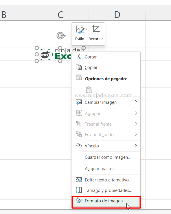 Insertar una Imagen en una Celda en Excel tutorial
