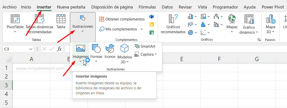 Insertar una Imagen en una Celda en Excel