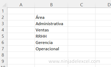 Lista Personalizada en Excel