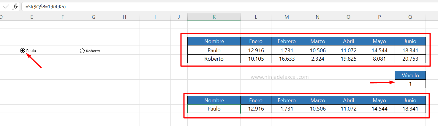 Aprender usar Botón de Opción en Excel