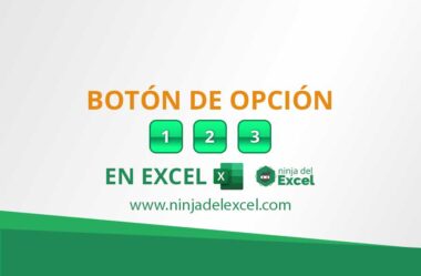 Botón de Opción en Excel – Un Recurso que te ayudará MUCHO