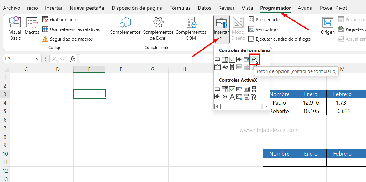 Botón de Opción en Excel