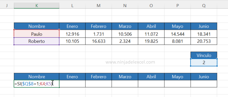 Botón De Opción En Excel Un Recurso Que Te Ayudará Mucho Ninja Del Excel 5199