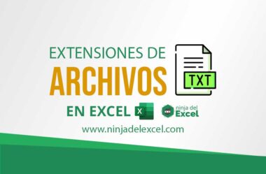 Extensiones de Archivos en Excel