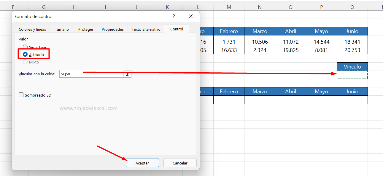 hacer Botón de Opción en Excel tutorial