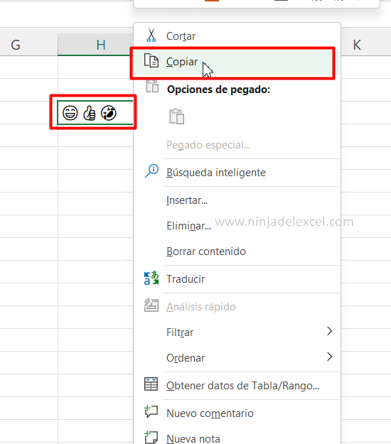 Emoji en Excel paso a paso