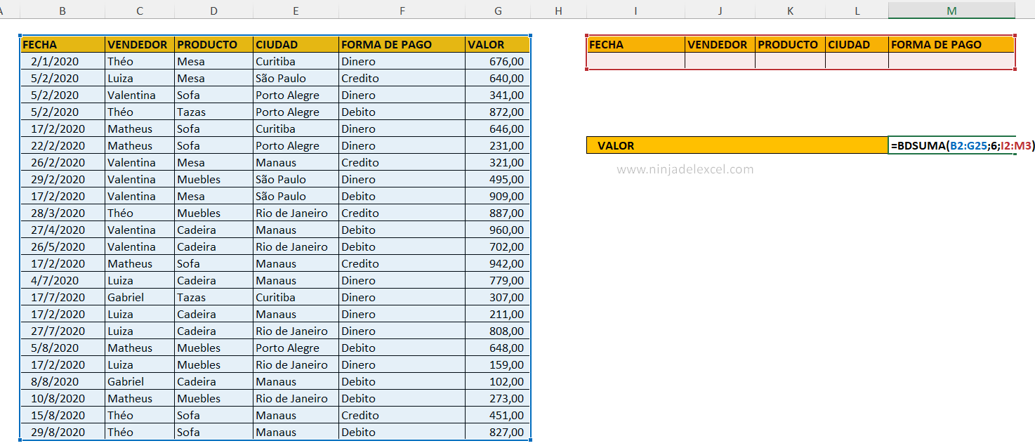 Funciones De Base De Datos En Excel Filtrar Por Fecha Ninja Del Excel 9209