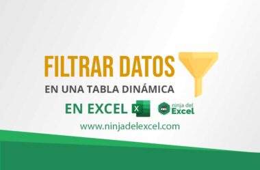 Como Filtrar Datos en una Tabla Dinámica