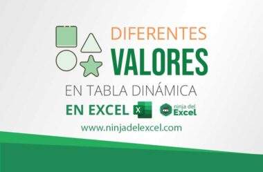 Diferentes Valores en Tabla Dinámica en Excel