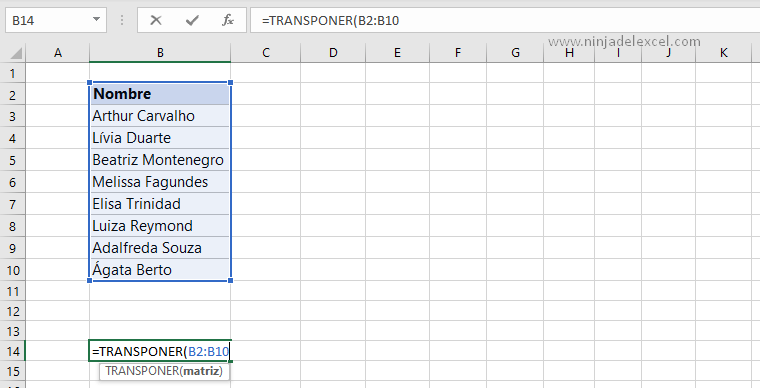 Como Convertir Fila en Columna en Excel