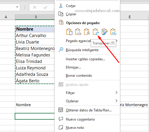 Convertir Fila en Columna en Excel con Caracteristica