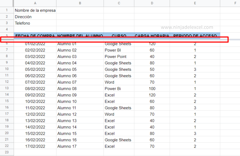 Cómo Inmovilizar Filas En Google Sheets - Ninja Del Excel