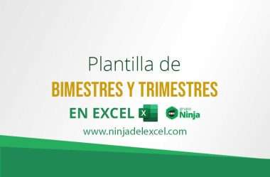 Plantilla de Bimestres y Trimestres en Excel