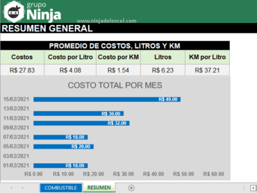 Plantilla para Control de Combustible en Excel - Ninja del Excel