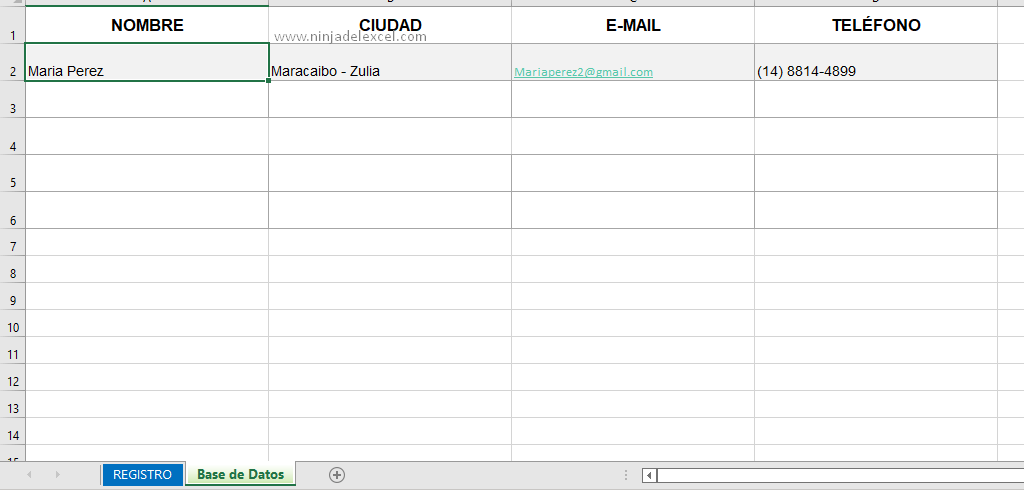 Registro de Agenda Telefónica en Excel - Ninja del Excel