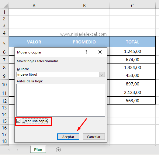 Cómo Duplicar una Planilla en Excel muy facil y rapido