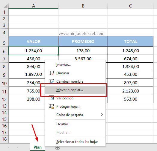 Cómo Duplicar una Planilla en Excel paso a paso