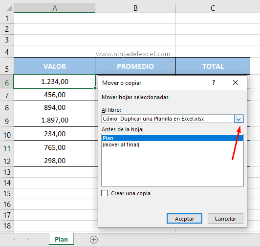 Cómo Duplicar una Planilla en Excel tutorial