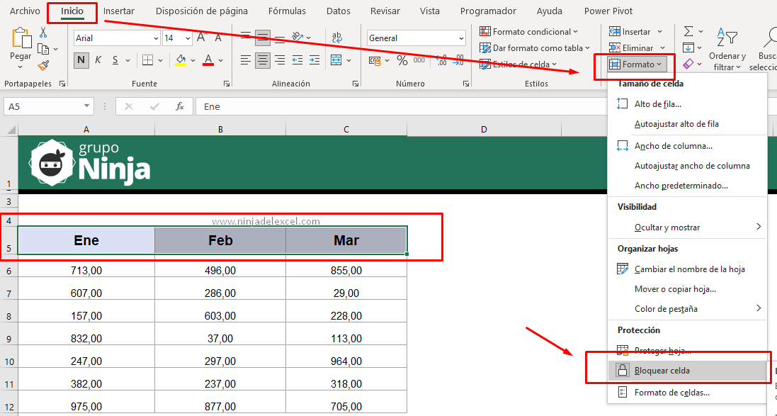 Cómo Bloquear Celdas Seleccionadas en Excel paso a paso