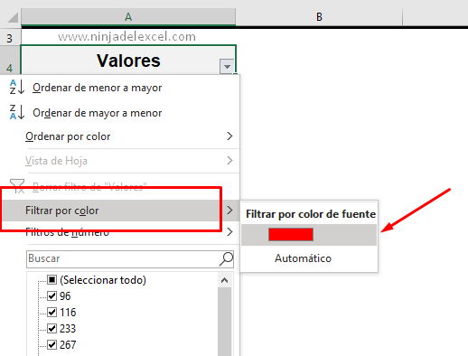 Como Filtrar por Color de Fuente en Excel tutorial paso a paso