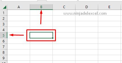 Cómo se Organizan Filas y Columnas en Excel tutorial facil