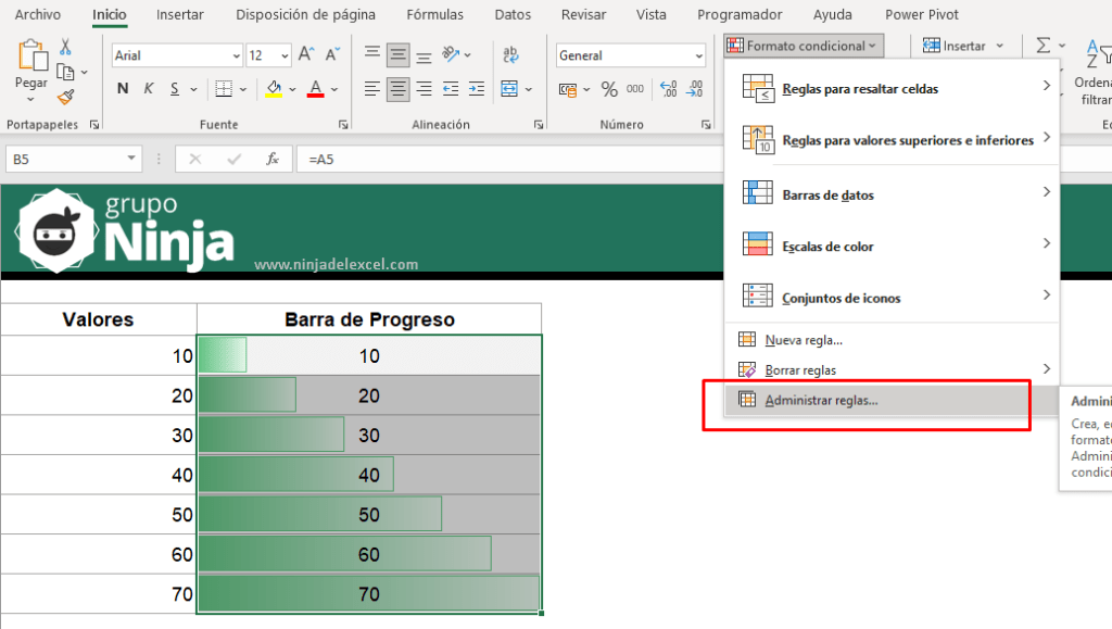 Formato Condicional con Barra de Progreso en Excel - Ninja del Excel