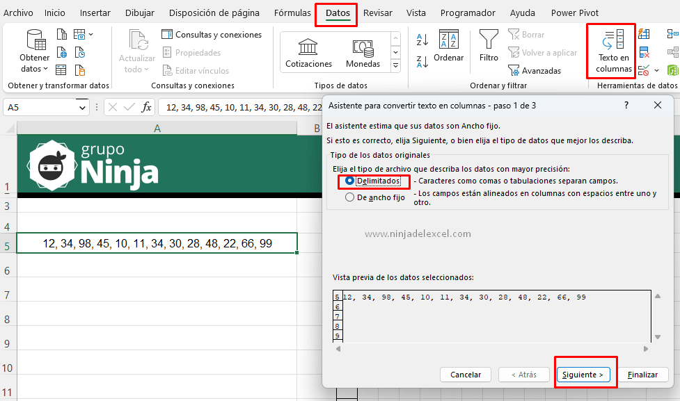 Texto para columnas en vertical en Excel paso a paso