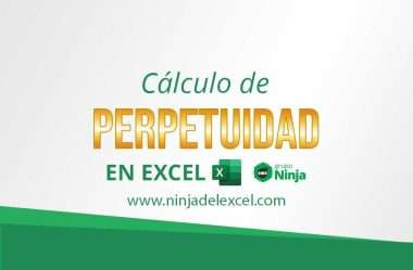 calcular la perpetuidad en Excel