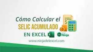 Cómo-Calcular-el-Selic-Acumulado-en-Excel