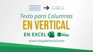 Texto-para-columnas-en-vertical-en-Excel