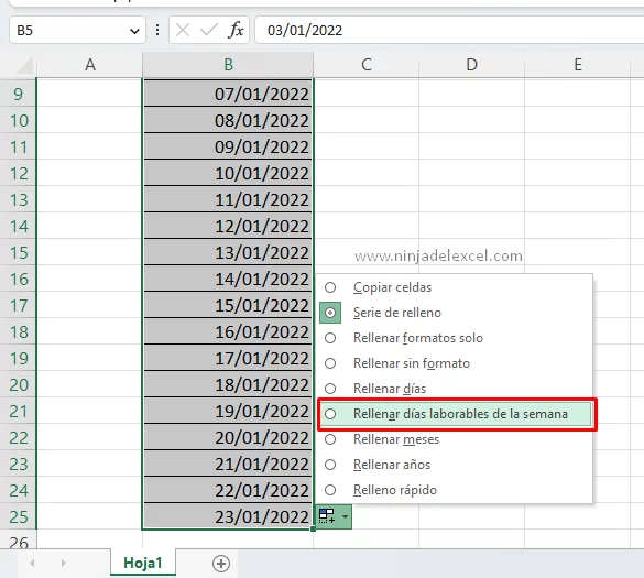 Rellenar con los Días de la Semana en Excel curso de excel completo