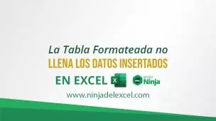 La-tabla-formateada-no-llena-los-datos-insertados-en-Excel