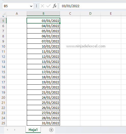 Rellenar con los Días de la Semana en Excel