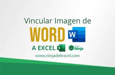 Vincular Imagen de Word a Excel
