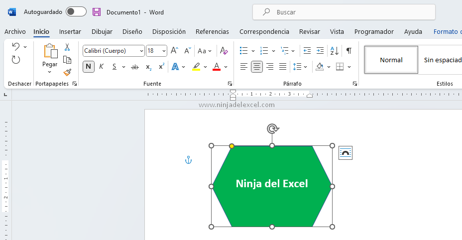 Vincular imagen de Word a Excel