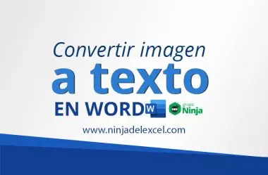 Convertir Imagen a Texto en Word
