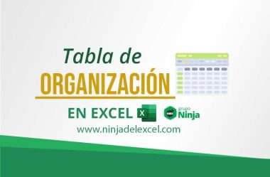 Tabla de Organización en Excel