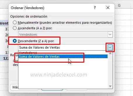 Como Ordenar Tabla Dinámica Basada en Otra Columna en Excel