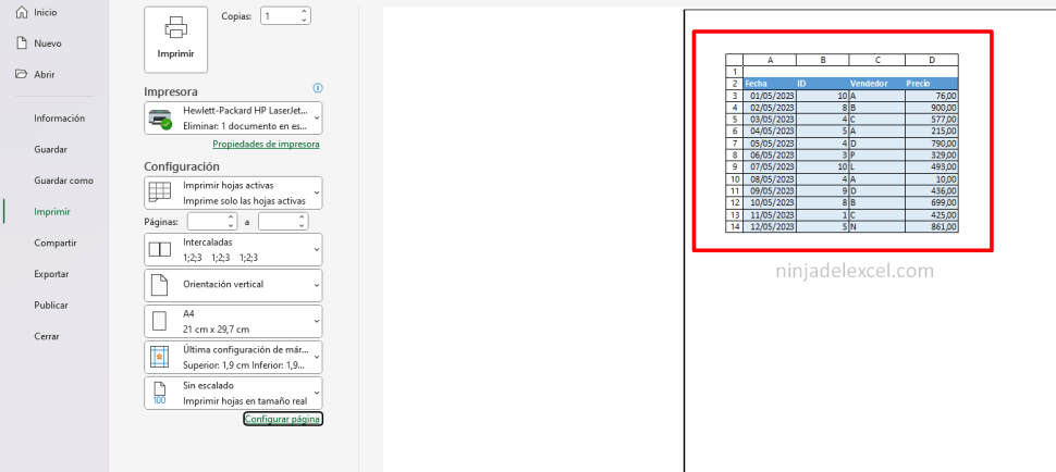 Como Imprimir Filas y Columnas en Excel - Ninja del Excel