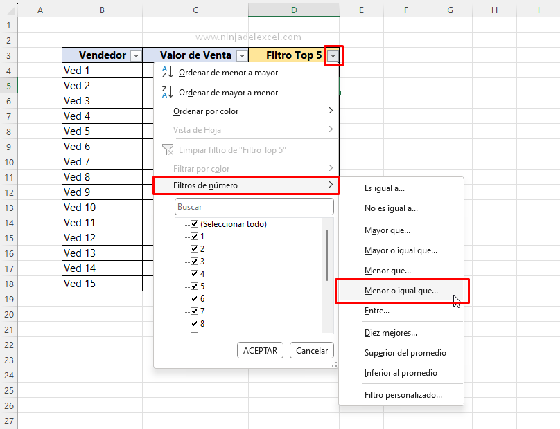 Como Ordenar Top 5 con Filtro en Excel
