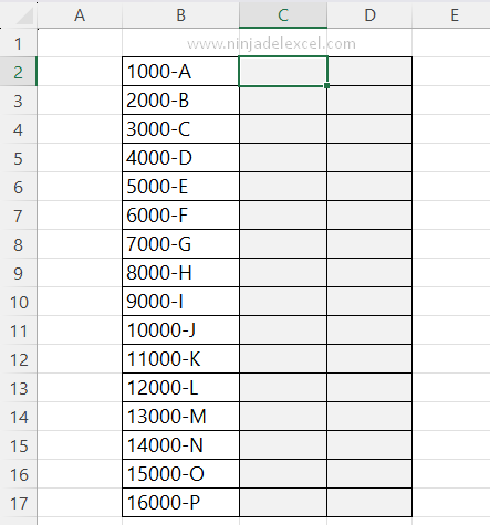 Separación de Datos con Relleno Rápido en Excel