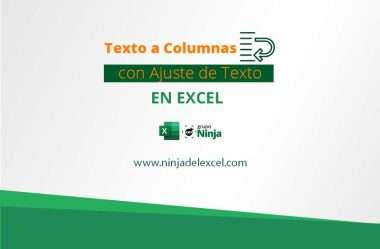 Texto a Columnas con Ajuste de Texto en Excel